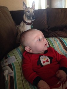 Elmo watches over his new family member, Tripp.