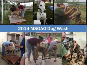 2014 MSGAO Dog Wash
